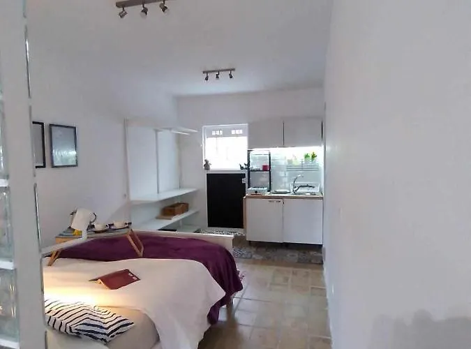 Estudio Cantera Auditorio * Las Palmas de Gran Canaria